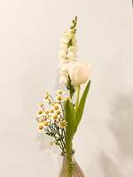 https://images.plurk.com/U8TplemTP5GNjk2woKRAH.jpg