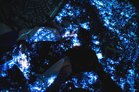 https://images.plurk.com/UL50tdN04sG4AEpqXK5Fq.jpg