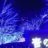 https://images.plurk.com/UOlJTPK9Ab72c1SY9yGYX.jpg