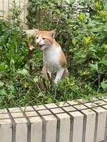 https://images.plurk.com/UQo6uoSTh41u9f4eXa0zd.jpg