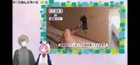 https://images.plurk.com/UTO6BYGor4Ingq9Awosgm.png