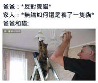 https://images.plurk.com/UYMdtKUZsWrQmDPrZW4hU.jpg