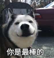 https://images.plurk.com/V0ZCf1CfjsyMbtItZCe5D.jpg