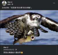 https://images.plurk.com/V32OFXSjT5AhHWzpzlnmC.png