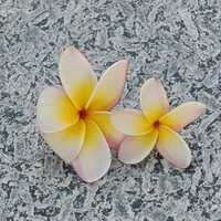 https://images.plurk.com/V9MH6fZfIwg4ngip8zTP8.jpg