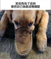 https://images.plurk.com/VBtRpUhY7VKZhZ3l8aJ0U.jpg