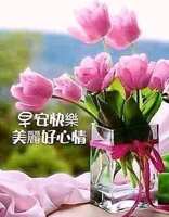 https://images.plurk.com/VHOnAKH4LCF4wmgczoUFt.jpg