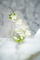 https://images.plurk.com/VIhRL5ljV5hybSJC4gvig.jpg