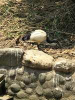 https://images.plurk.com/VLyDkWUXEpgSJjUpT9eBb.jpg