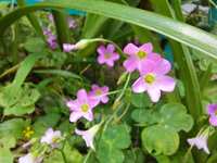https://images.plurk.com/VXHKFBdSAOJS6AvB2nHcb.jpg