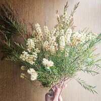 https://images.plurk.com/VXznoZ6l1bQIzk2P3BxXu.jpg
