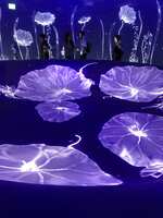 https://images.plurk.com/Vg9ADuZfNyiAD6itqtsXN.jpg