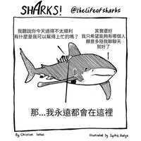 https://images.plurk.com/Vnd117pu1ZH1V8uKcRMko.jpg