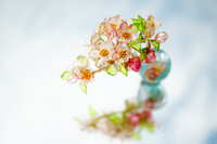https://images.plurk.com/VvOENA72LIVPwfWxmEKeY.jpg