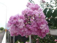 https://images.plurk.com/W5EvuERCj5ZqDykts9hVU.jpg