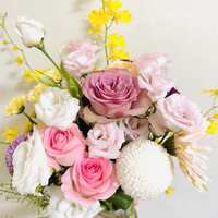 https://images.plurk.com/W8ki9GSnNtPPsW5F9ZAXF.jpg