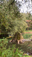 https://images.plurk.com/WDDm8B9oYATM3hjGmqvEI.jpg