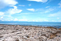 https://images.plurk.com/WKPmWmVOeDEl5aK6kBCWZ.jpg