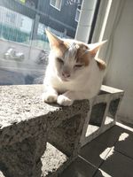 https://images.plurk.com/WO52uOcuseekX9FJ8eqRo.jpg