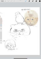 https://images.plurk.com/WfTb8bQn7PtU3PaFfz5r6.jpg
