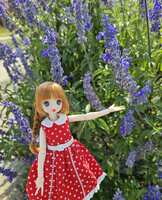 https://images.plurk.com/WgmZu2k1KsHlCebQwQ8qv.jpg