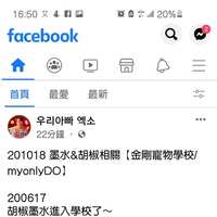 https://images.plurk.com/WhzxOtAquEO1Sa1ksTcw8.jpg