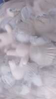 https://images.plurk.com/Wj7AWZTXYpCMlJykxrviM.jpg