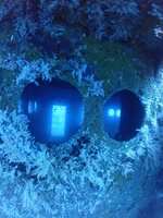 https://images.plurk.com/Wp6oLcffhUtaqdFvSKDIu.jpg