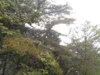 https://images.plurk.com/WpqegFj0nPq3bcq9KWcZV.jpg