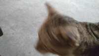 https://images.plurk.com/Ww3YPHZbVlYJHMVBZQAie.jpg