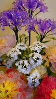 https://images.plurk.com/Wx8w8OMv8XV9Gegf5k8sA.jpg