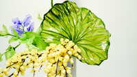 https://images.plurk.com/WyVqMGy5rLFuTfzUj0BBX.jpg