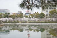 https://images.plurk.com/X04xLsh0B5l5LO2h2C7mI.jpg