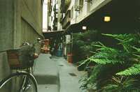 https://images.plurk.com/X17ebiY1Y9IMNDicaRbzX.jpg
