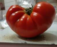 https://images.plurk.com/X5x7G9ibWJ7B3pJW9039Z.png