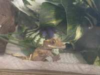 https://images.plurk.com/XBPoJroCxeuVoFfCdvHb7.jpg
