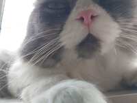 https://images.plurk.com/XDrsVsXeXXpXYbJ2m1lME.jpg