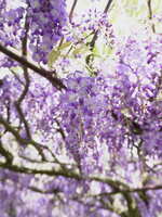 https://images.plurk.com/XKZKYTeOP6Sov5Xba2B4y.jpg
