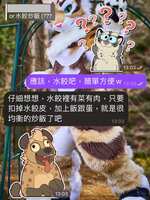 https://images.plurk.com/XWUUDFA1R9xESoKM77LjT.jpg