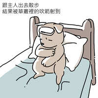 https://images.plurk.com/Xevmr6az9RWvLVb1Ym0Pi.jpg