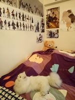 https://images.plurk.com/XfIrwVxPKegNF5MuNYrEF.jpg