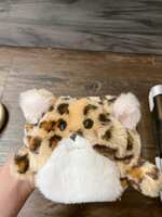 https://images.plurk.com/Xikr3efYIyrJPhfVH9GeB.jpg