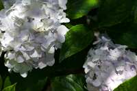 https://images.plurk.com/XjRItWIcMb9llIX63sw0i.jpg
