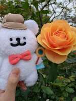 https://images.plurk.com/Xo9X71og7g7yax5zS0oHU.jpg