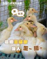 https://images.plurk.com/XooT3BCj8qpIn25J3wWwS.png