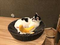 https://images.plurk.com/YHIg4kUYFil0H36CQ123W.jpg