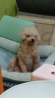 https://images.plurk.com/YIuyfYq2ucQx1mxx6kero.jpg