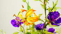 https://images.plurk.com/YKMpepVCm6HOk453R70mp.jpg