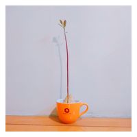 https://images.plurk.com/YM1FmvOk8I9n5pixHQ1zC.jpg