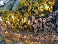 https://images.plurk.com/YMhMBr1oVEVSuNwcL6uAG.jpg